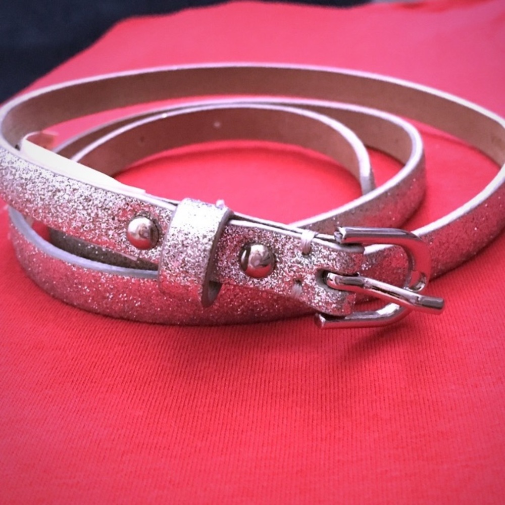 Silver Sparkle Skinny Belt by Ann Taylor!